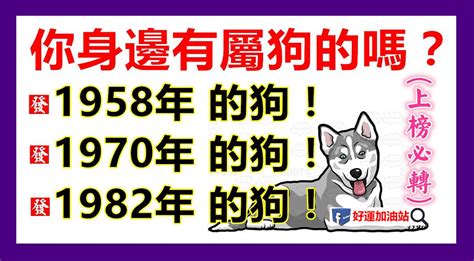 1958年屬狗|1958年屬狗的是什麼命